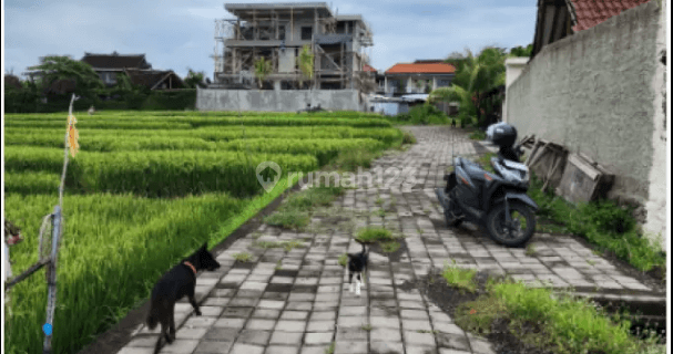 Tanah di Seseh Mengwi Badung Bali Mengwi, Badung
, Badung 1