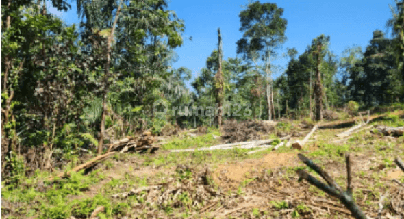 Tanah di Jl. Subak Piak Desa Wangaya Gede, Kecamatan Penebel Tabanan, Tabanan 1