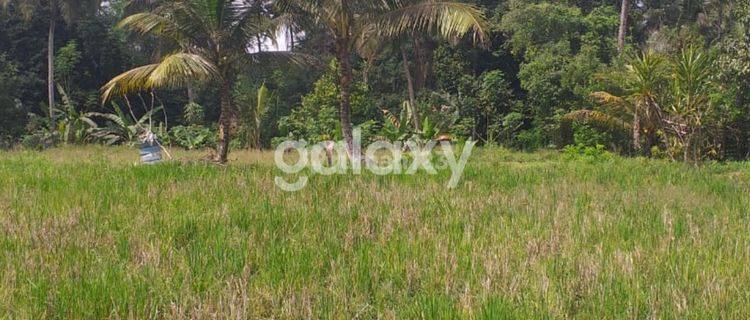 TANAH RAYA PEJENG TAMPAKSIRING GIANYAR, BALI 1