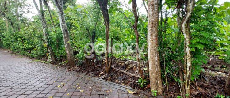 TANAH GUNUNG PAYUNG KUTUH BADUNG, BALI 1