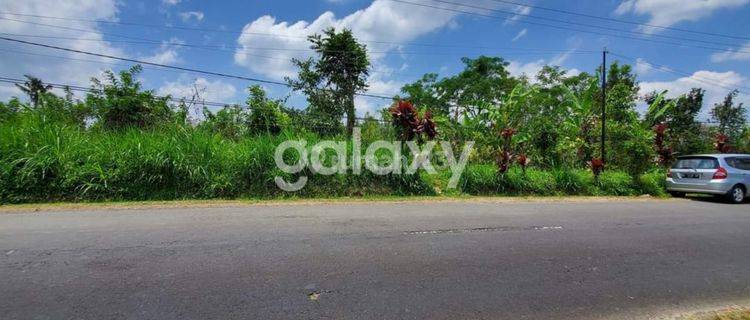 TANAH RAYA PLAGA PETANG BADUNG, BALI 1