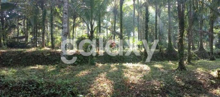 LAND FOR SALE IN TAWANG LAKE, SIDEMEN, KARANGASEM, BALI 1