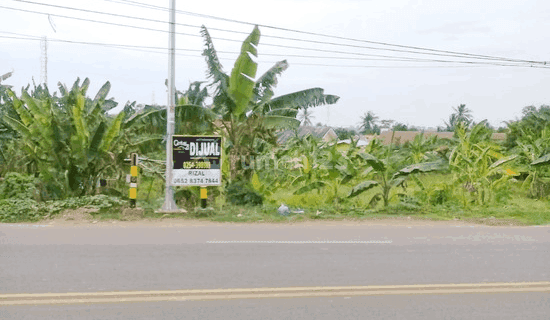 Tanah Jalan Utama Gunung Pinang Strategis 1