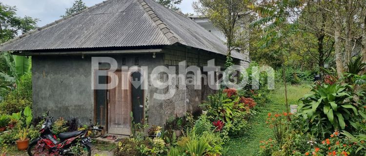 VILLA SUASANA TENANG NGAGRONG GETASAN KOPENG SEMARANG 1