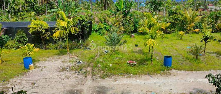 Tanah 2400m2 SHM Lubuk Alung Padang Pariaman Sumatra Barat 1