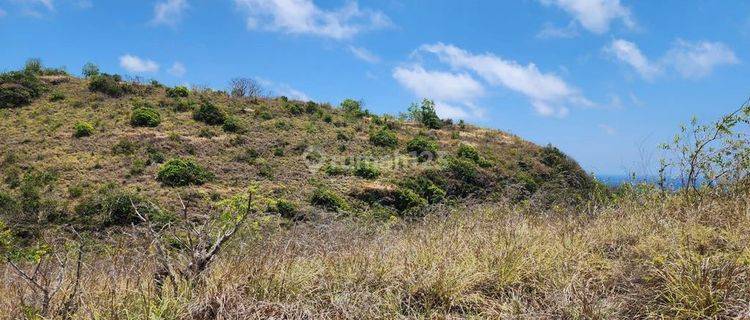 Cliff Land Near Diamond Beach, Nusa Penida 1