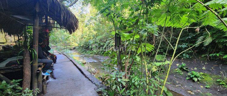 Dijual Tanah Bonus Air Terjun, Harga Murah 1