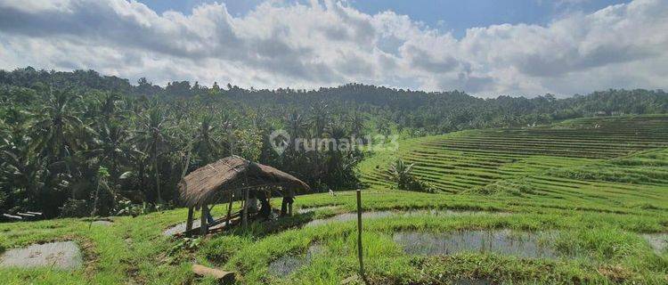 Land for Sale with Beautiful Rice Field View in Jati Luwih Area, Tabanan 1