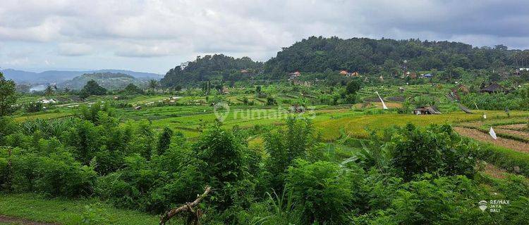 Land for sale with beautiful mountain, sea and rice field views. 1