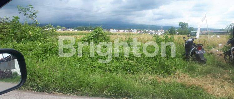 Tanah Sawah Poros Jalan Alternatif Di Kota Malang 13  1