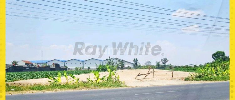 Tanah Pondok Solobaru Bisa Jual Dan Sewa 1