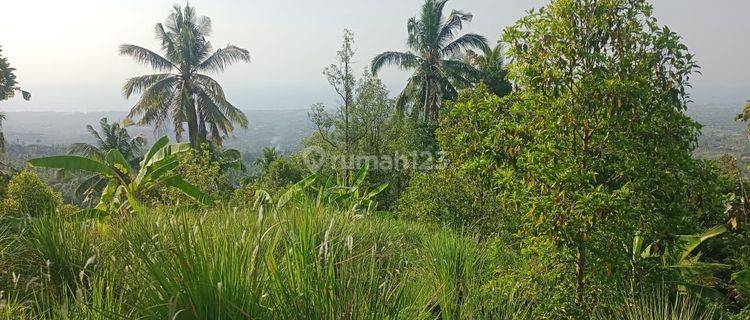 For Sale Ocean View Land In Panji Singaraja Good For Investment  1