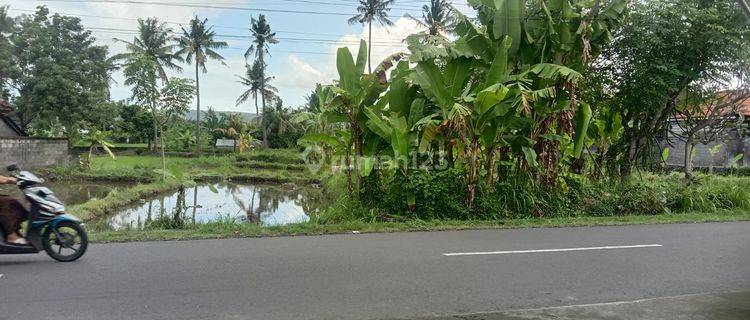 Dijual tanah pinggir  jalan di pesagi Karangasem  1