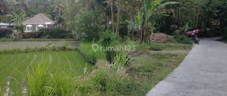 FOR SALE beautiful  land fir making villa 1