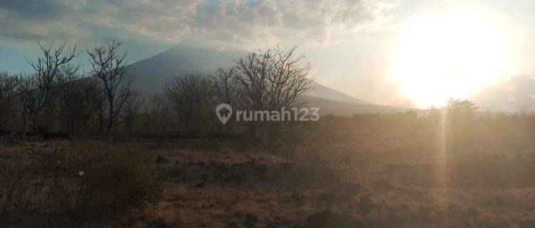 For sale land  sunset and mountain  view in tulamben 1