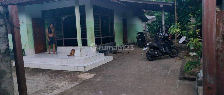 Dijual rumah local dekat ke pusat lovina  1