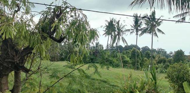 Land for  sale 600 jt global with beautiful view and goid acces 1