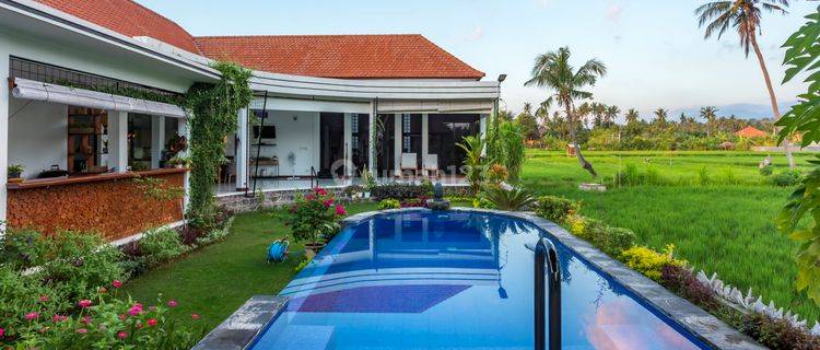 Te koop  super mooi huis For sale modern villa in central Lovina fantastic view 1