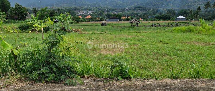 For sale land super premium in central Lovina with good acces road area villa 1