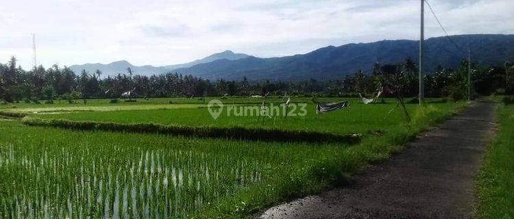 For sale land  with good acces and area villa and hotel in lovina  1