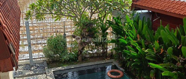 Super Cheap Villa 2 Br With Fantastic Views To Ricefield In Central Lovina  1