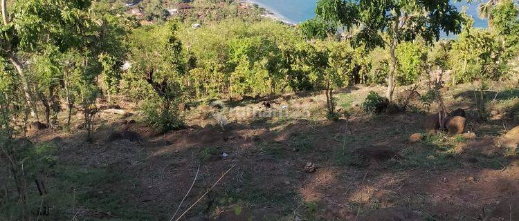 For sale ocean view land in amed good for investment and villa 1