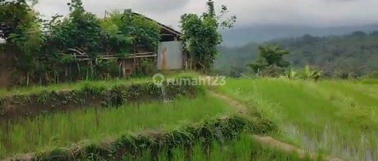 For sale premium land with fantastic views to the ocean and mountain  1