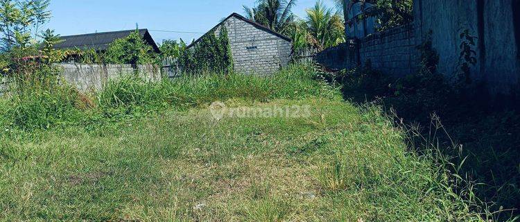 For sale flat land good for investment or making villa in desa Banjar close to lovina 1