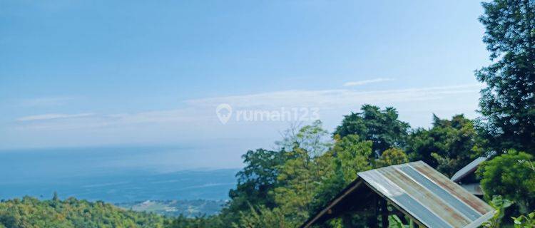 For sale global land with ocean view on hillside of Lovina for investment or private villa  1