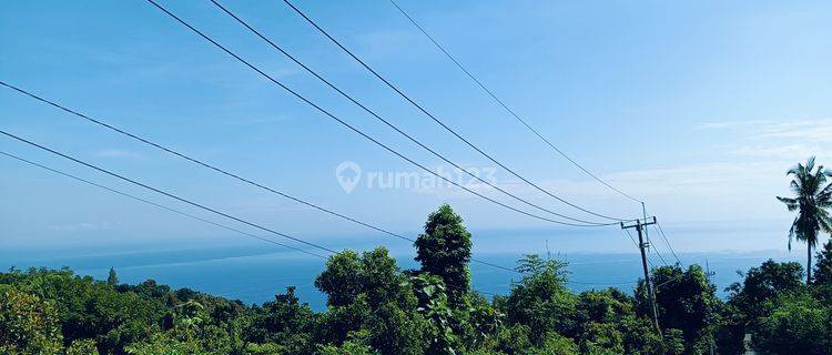 For sale land in the hillside of lovina with good view and on the aspal road  1