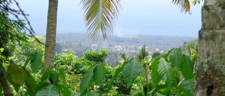 For sale big land good for investment or hotel in Karangasem with ocean view  1