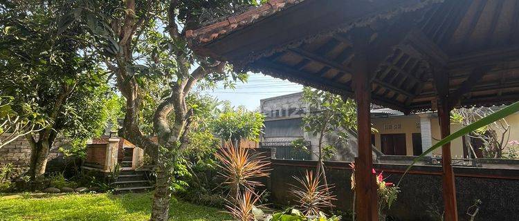 For Sale House Super Cheap In Karangasem 2 Floor  1