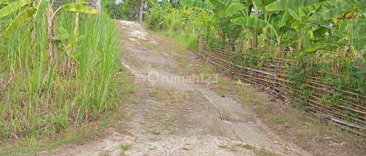 For sale good land close to central Lovina and Pepito  1