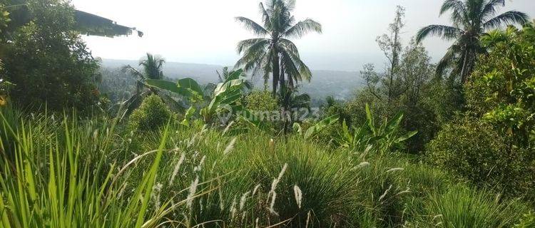 For Sale Ocean View Land In Panji Area And Many Waterfalls Around  1