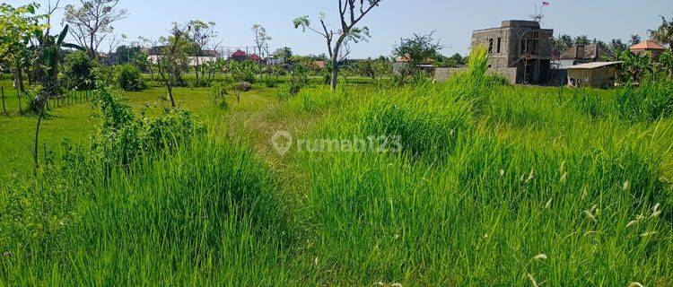 For Sale Land With Beautiful View And Good Acces Road Global Just 260 Juta 1