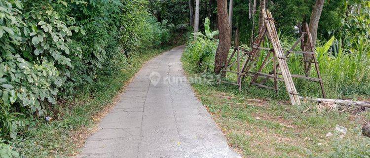 For Sale 5 Are Land With Jungle View Just 5 Minute Drive To The Beach  1