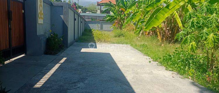 For Sale Flat Land Good For Making Villa In Lovina Area  1