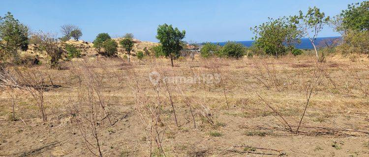 For Sale Land Ocean View Near Central Diving In Tulamben  1