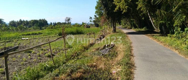 For Sale 10 Are Land In The Area Surfing Beach In Karangasem Walking Distance To The Beach  1