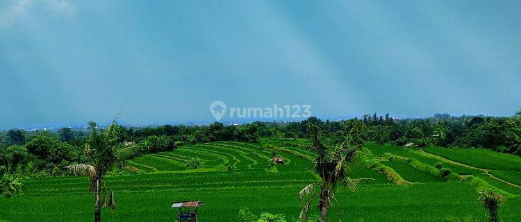 For Sale Flat Land With Fantastic 360° View To The Sea,terace Sawah,moutain And River Direc Owner