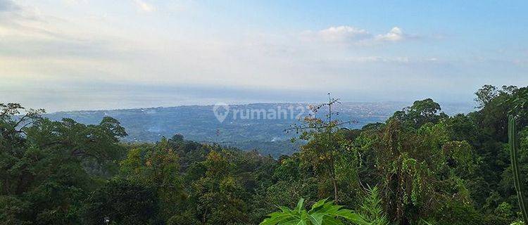 For Sale Ocean View Land And Building In The Hill Of Lovina And Waterfall View And Ocean  1