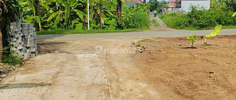 For Sale Land Close To Central Lovina Area Villas Just Walking Distance To The Central  1