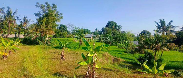 For sale fantastic views land  good for private villa or resort close to aling waterfall  1