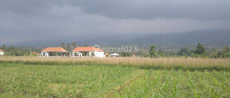 For Sale 7 Are Land In Central Lovina Just Walking Distance To The Beach 1