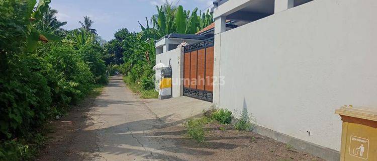 For Sale Good Land For Building Villa And Close To Central Lovina  1