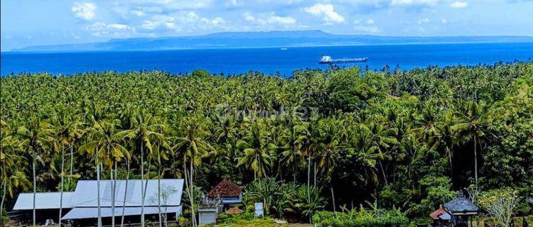 For Sale Ocean View Land In Candidase Close To Central And Good Acces Road  1