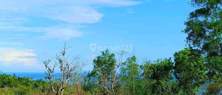 For Sale Ocean View Land In Seraya Ready To Build And Aspal Road  1