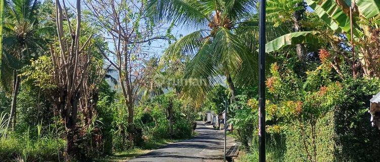 For Sale Good Acces Road  Aspal Land And Fantastic Views In Aling" Waterfall In sambangan 1