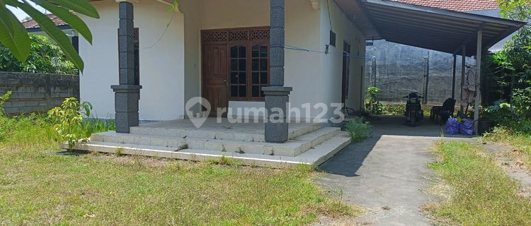 For Sale Local House Possible Renovation Just 400 Meters From Pepito 1