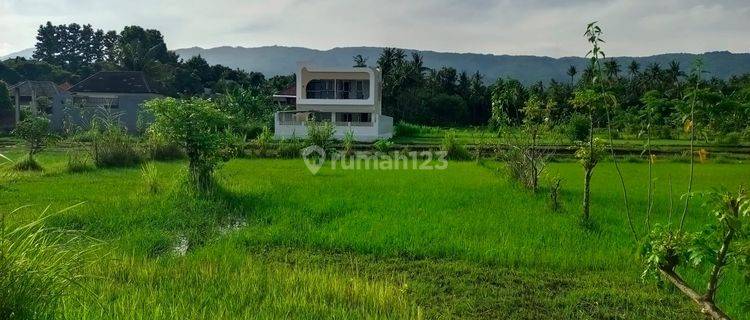 For Sale 400 M2 Land With Ricefild View And Mountain In Area Villas 1